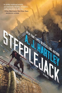 Enlarge image Cover: Steeplejack - Tor Teen