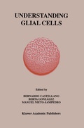 Bild: Understanding Glial Cells - Springer