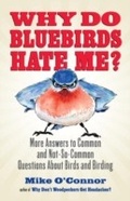 Cover: Why Do Bluebirds Hate Me? - Beacon Press