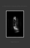 Cover: Little book of blacks whites & greys - Blurb