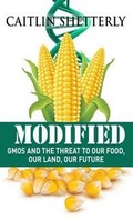 Cover: Modified - Thorndike Press Large Print