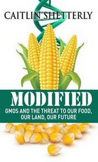 Enlarge image Cover: Modified - Thorndike Press Large Print