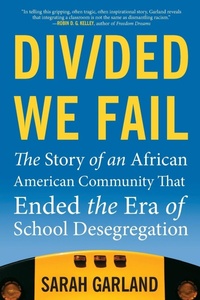 Enlarge image Cover: Divided We Fail - Beacon Press