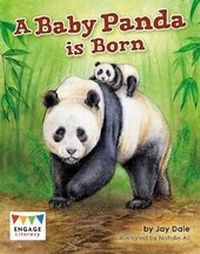 Enlarge image Cover: A Baby Panda is Born - Raintree