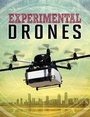 Cover: Experimental Drones - Raintree