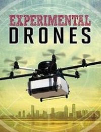 Enlarge image Cover: Experimental Drones - Raintree