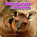 Cover: Baby Animals and Their Homes Pack A of 4 - Raintree