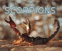 Enlarge image Cover: Scorpions - Raintree