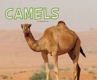 Enlarge image Cover: Meet Desert Animals Pack A of 4 - Raintree