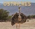 Cover: Ostriches - Raintree