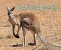 Cover: Kangaroos - Raintree