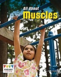 Enlarge image Cover: All About Muscles - Raintree