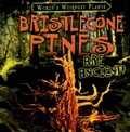 Cover: Bristlecone Pines Are Ancient! - Gareth Stevens Publishing