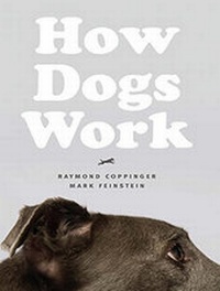 Enlarge image Cover: How Dogs Work - Tantor Media, Inc