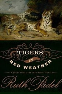 Abbildung von: Tigers in Red Weather - Walker & Company
