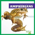 Cover: Amphibians - Bullfrog Books