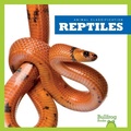 Cover: Reptiles - Bullfrog Books