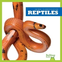 Enlarge image Cover: Reptiles - Bullfrog Books