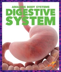 Enlarge image Cover: Digestive System - Pogo Books