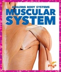Cover: Muscular System - Pogo Books