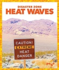 Cover: Heat Waves - Pogo Books