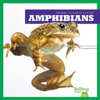 Enlarge image Cover: Amphibians - Bullfrog Books
