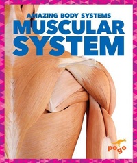Enlarge image Cover: Muscular System - Pogo Books