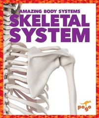 Enlarge image Cover: Skeletal System - Pogo Books