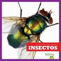 Enlarge image Cover: Insectos (Insects) - Bullfrog Books