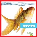 Cover: Peces (Fish) - Bullfrog Books