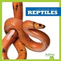 Cover: Reptiles (Reptiles) - Bullfrog Books