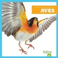 Cover: Aves (Birds) - Bullfrog Books