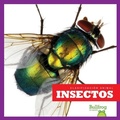 Cover: Insectos (Insects) - Bullfrog Books