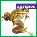 Cover: Anfibios (Amphibians) - Bullfrog Books