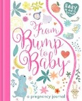 Cover: From Bump to Baby - Little Tiger Press