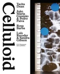 Cover: Celluloid - Tacita Dean, Joao Maria Gusmao & Pedro Paiva, Rosa Barba, Luis Recoder & Sandra Gibson - NAI Publishers