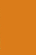 Cover: Cholestatic Liver Diseases in Children and Adults - Kluwer Academic Publishers