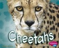 Cover: African Animals Cheetahs - Capstone Press