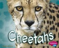 Enlarge image Cover: African Animals Cheetahs - Capstone Press