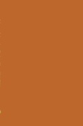 Cover: Primary Sclerosing Cholangitis - Kluwer Academic Publishers