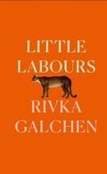 Cover: Little Labours - Fourth Estate Ltd