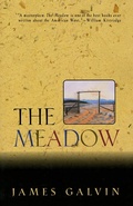 Cover: The Meadow - Henry Holt & Company Inc