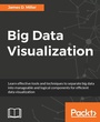 Cover: Big Data Visualization - Packt Publishing