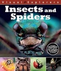 Cover: Insects and Spider - Green Android Limited