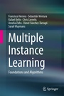 Cover: Multiple Instance Learning - Springer