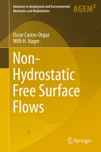 Enlarge image Cover: Non-Hydrostatic Free Surface Flows - Springer