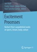 Cover: Excitement Processes - Springer VS