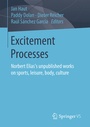 Cover: Excitement Processes - Springer VS