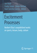 Cover: Excitement Processes - Springer VS