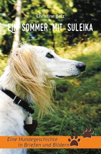 Abbildung von: Ein Sommer mit Suleika - epubli